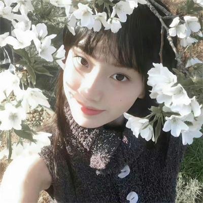 战龙在野