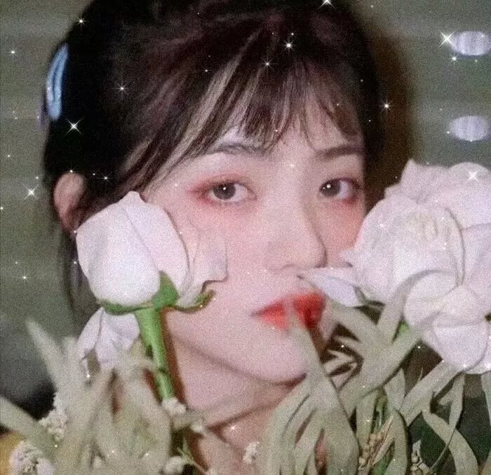 帝女情未了粤语